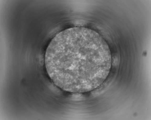 X0000103140666200809192006