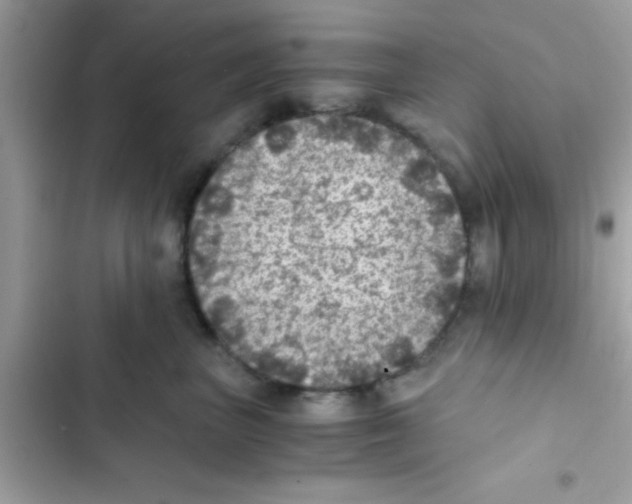 X0000103140667200809192006