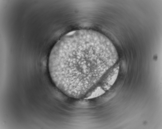 X0000103140668200809192006