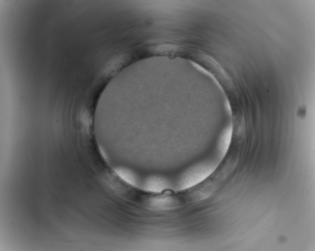 X0000103140669200809192006