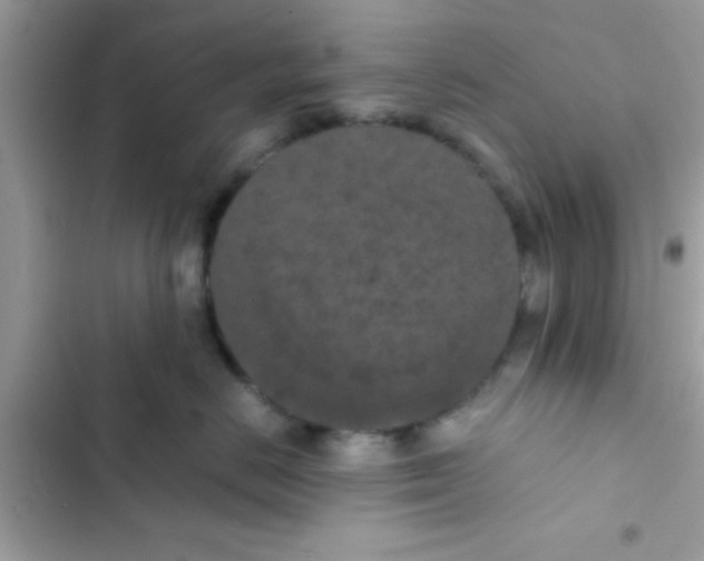 X0000103140670200809192007