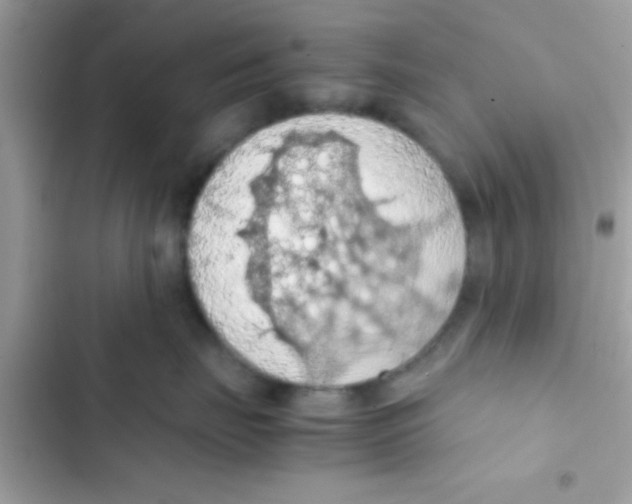 X0000103140671200809192007