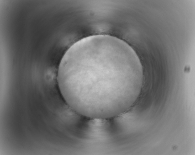 X0000103140672200809192007