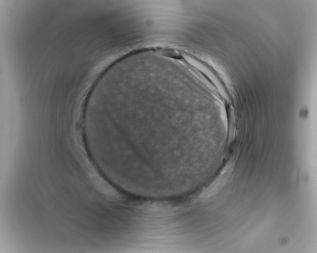 X0000103140673200809192006