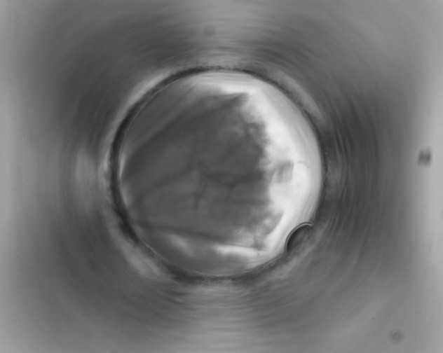 X0000103140674200809192006