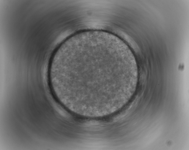 X0000103140677200809192006