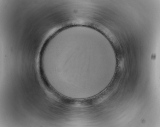 X0000103140678200809192006