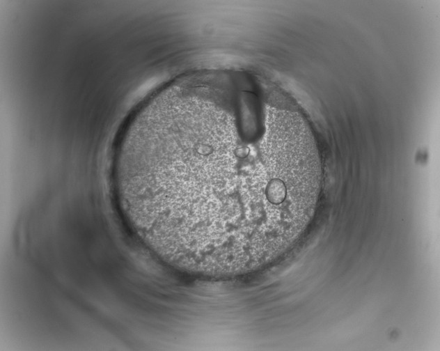 X0000103140679200809192006