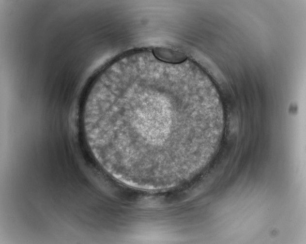 X0000103140680200809192006