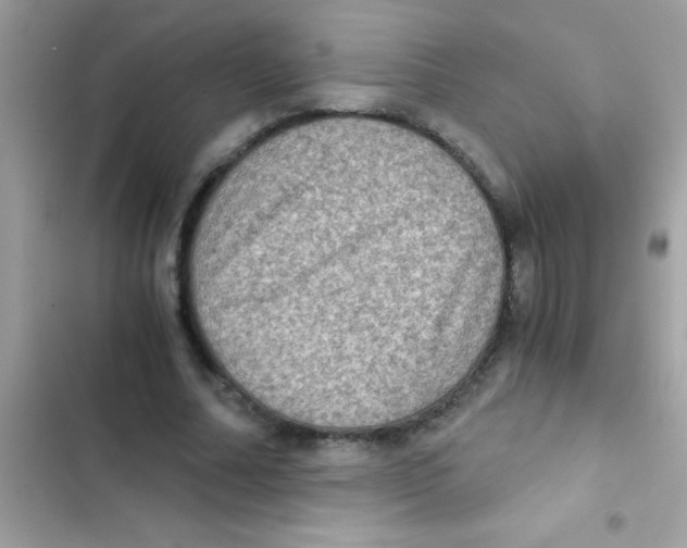 X0000103140682200809192006