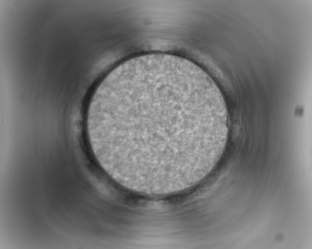 X0000103140683200809192006