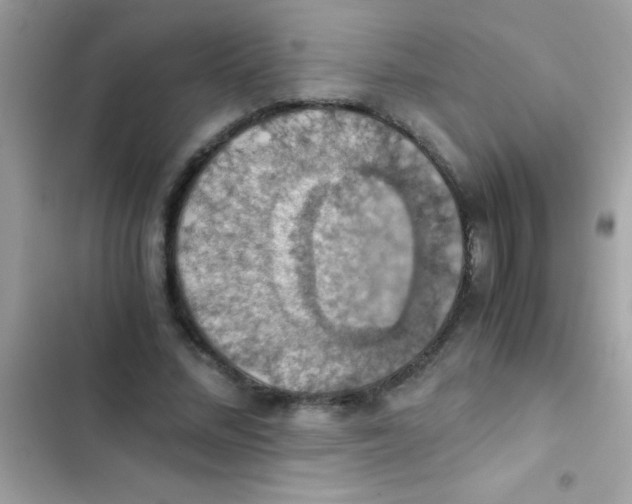 X0000103140684200809192006