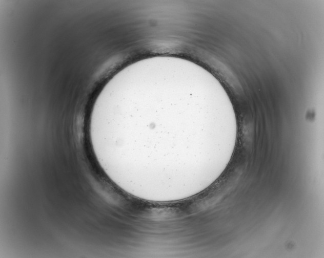 X0000103140686200809192006