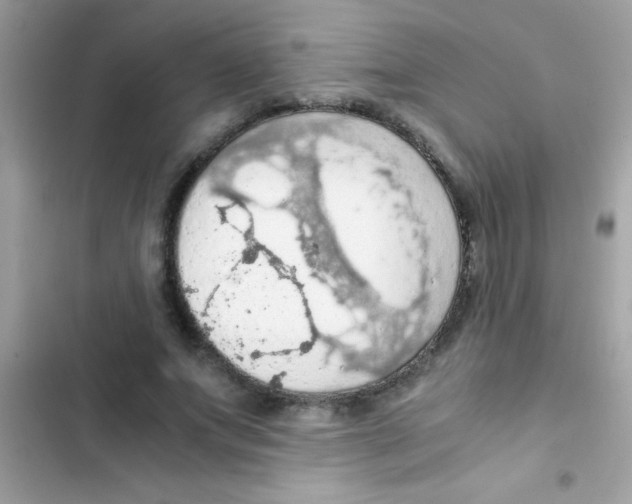 X0000103140687200809192006