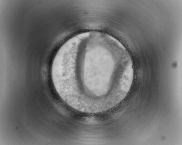 X0000103140688200809192006