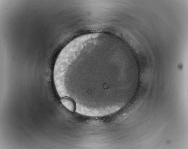 X0000103140689200809192006