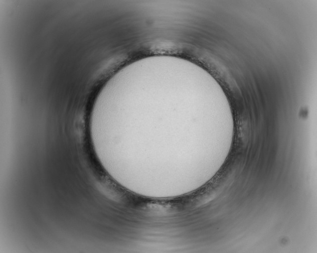 X0000103140690200809192006