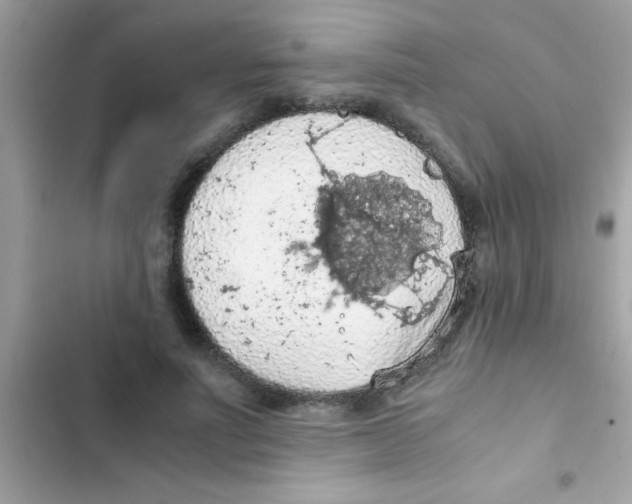 X0000103140691200809192006