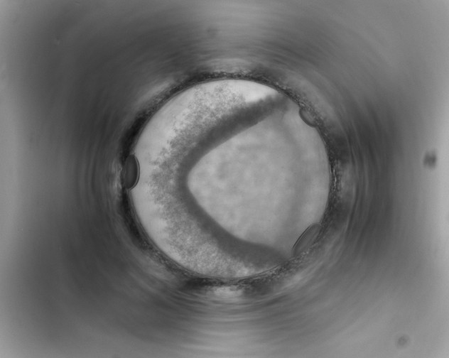 X0000103140692200809192006