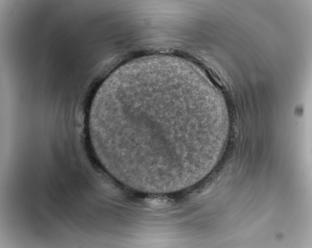 X0000103140693200809192006