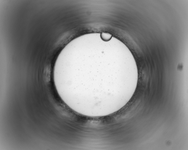 X0000103140694200809192006