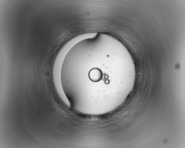 X0000103140695200809192006