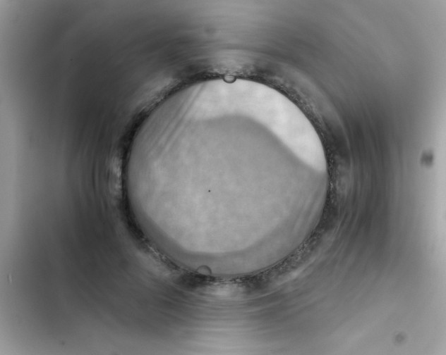 X0000103140696200809192006