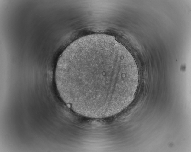 X0000103140697200809192006