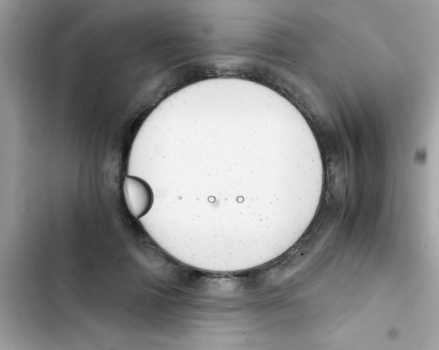 X0000103140698200809192006