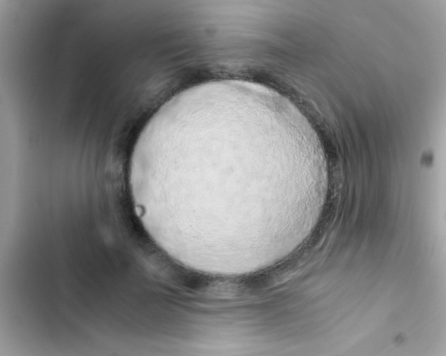 X0000103140699200809192006