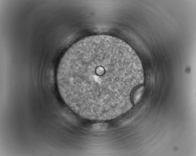 X0000103140700200809192006