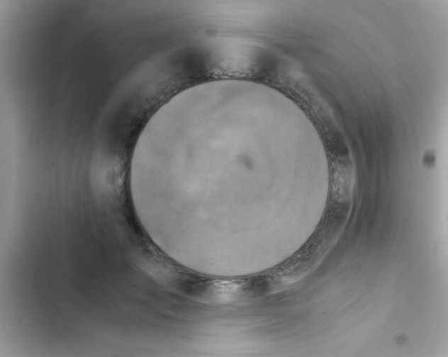 X0000103140701200809192005