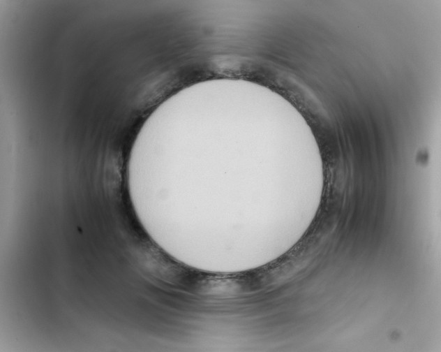 X0000103140702200809192005