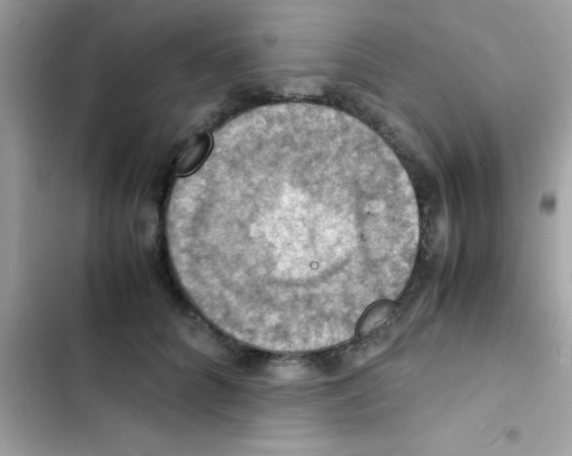 X0000103140704200809192005