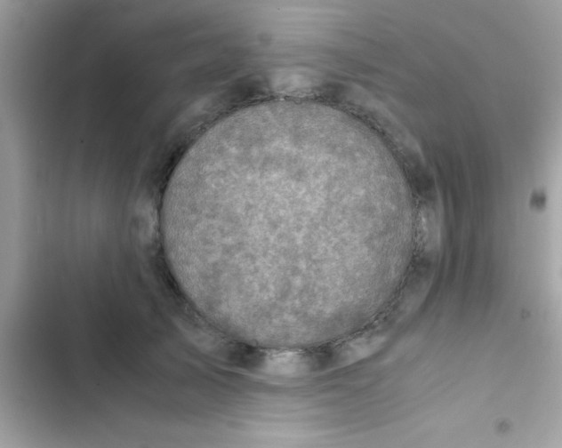 X0000103140705200809192005