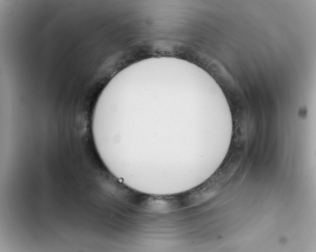 X0000103140706200809192005