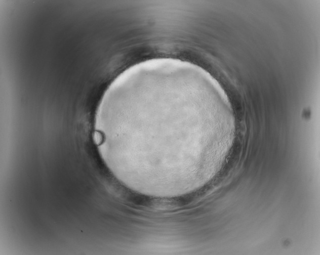 X0000103140707200809192005