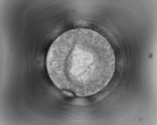 X0000103140708200809192005