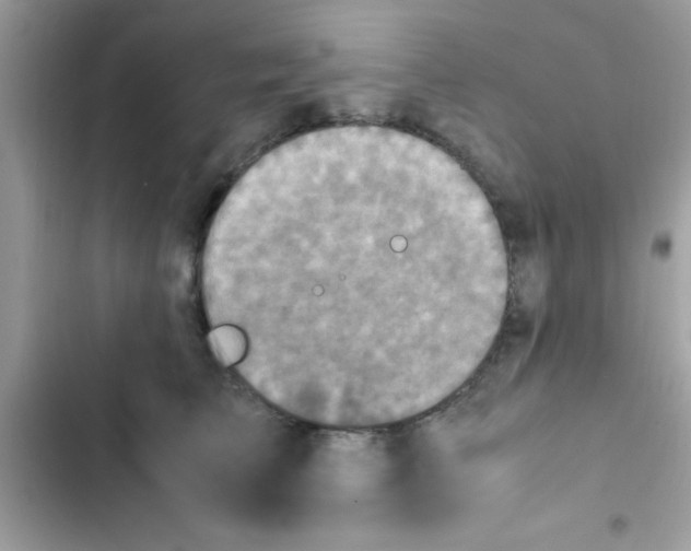 X0000103140709200809192005