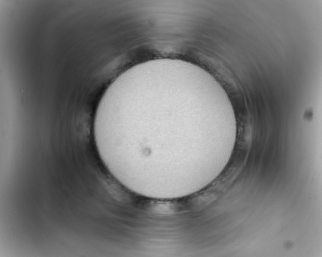 X0000103140710200809192005