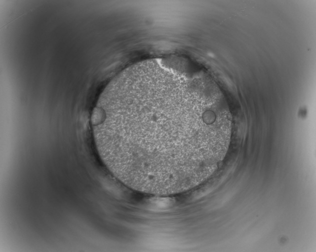 X0000103140711200809192005