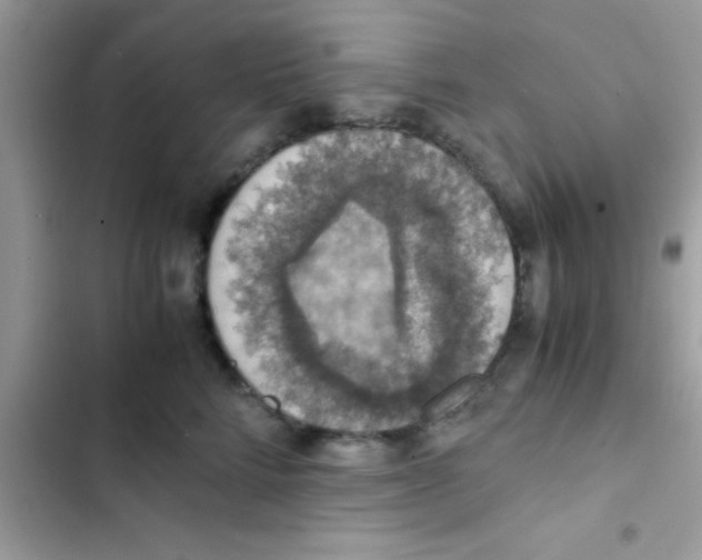 X0000103140712200809192005