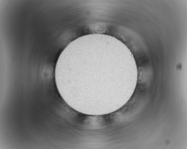 X0000103140713200809192005