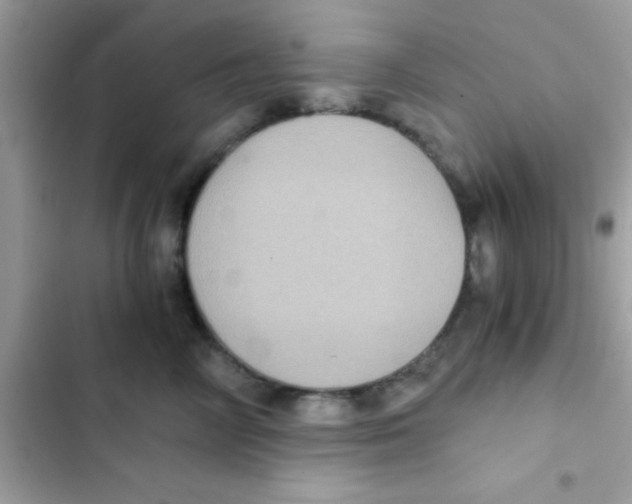 X0000103140714200809192005