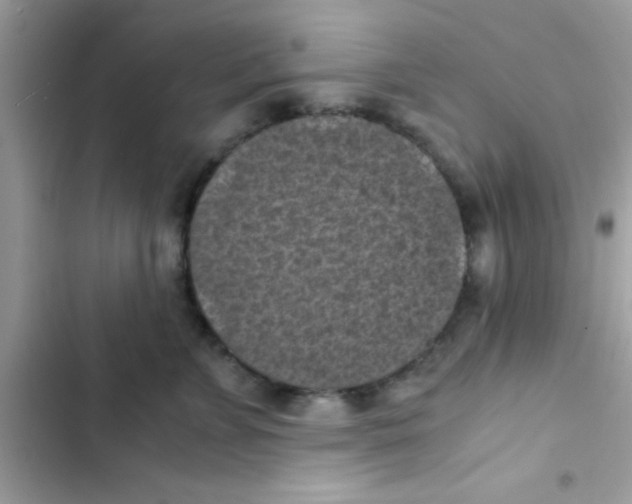 X0000103140715200809192005