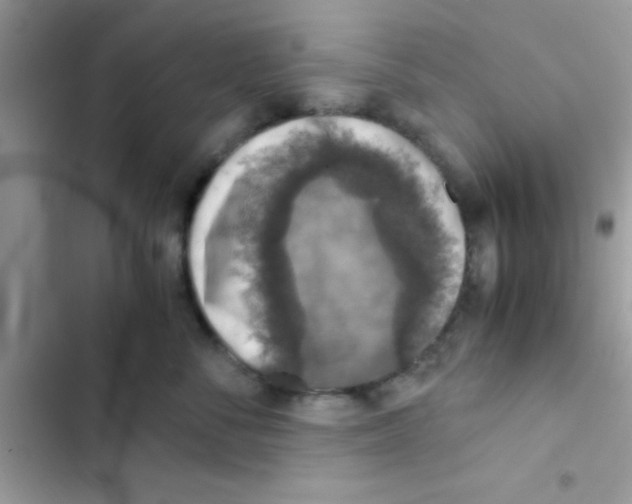 X0000103140716200809192005