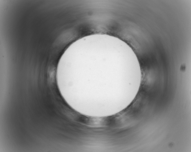 X0000103140717200809192005