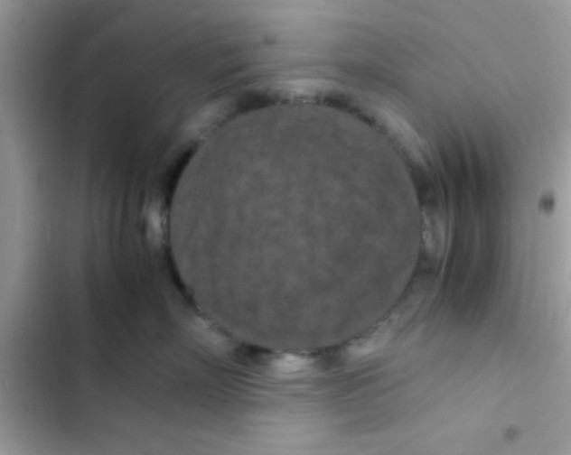 X0000103140718200809192005