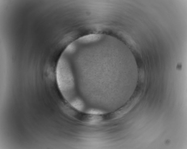 X0000103140719200809192005