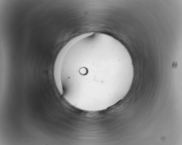 X0000103140720200809192005